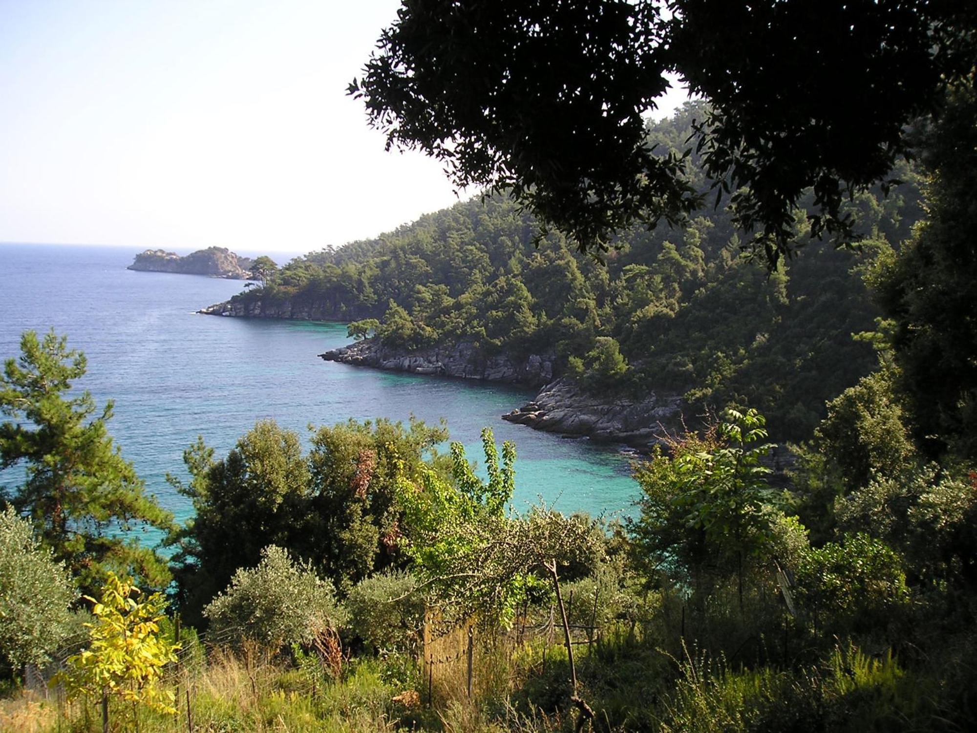 Golden Beach Inn Chrysi Ammoudia Buitenkant foto